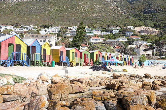 Private Tour: Cape Of Good Hope & Wine Tasting - Chapman’s Peak is the scenic road centerpiece