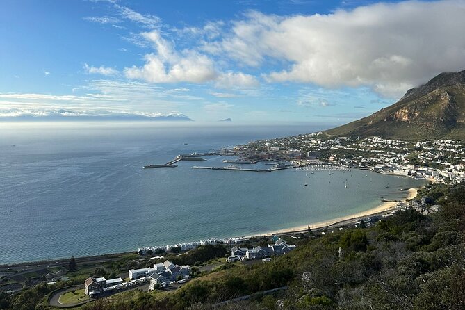 Private Tour Cape of Good Hope with Penguins - Chapman’s Peak Drive in just 20 minutes