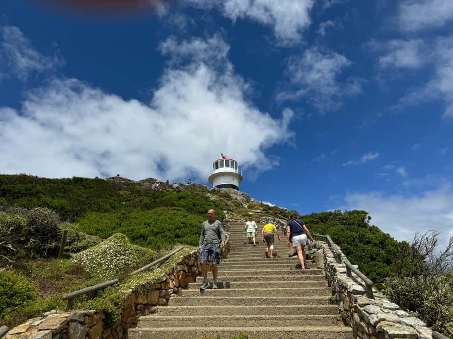 Private Tour: Cape Point, Penguins, Chapmans Peak & more... - Five things to know before booking