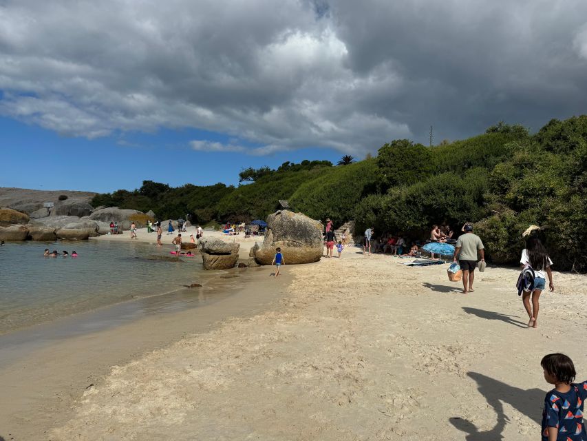 Private Tour: Cape Point, Penguins, Chapmans Peak & more... - Muizenberg closes the coastal circuit