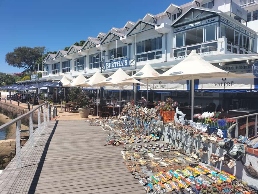 Private Tour: Cape Point, Penguins, Chapmans Peak & more... - Boulders Beach and the African penguins