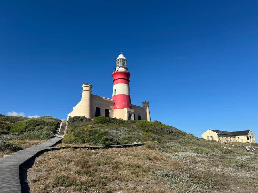 Private Tour: Cape Town to Cape Agulhas where 2 Oceans Meet - Key points at a glance