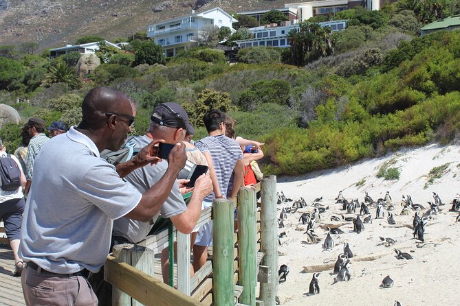 Private Tour from Cape Town To Cape of Good Hope Penguins Plus Wine Tasting F/D - Simons Town and the navy connection