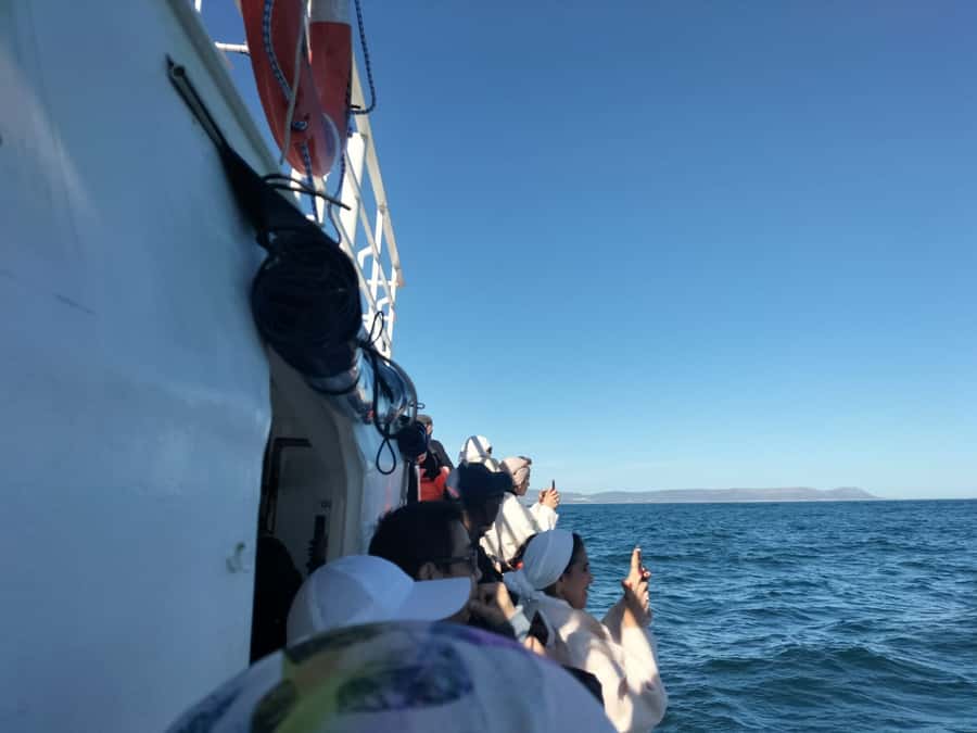 Private Tour: Hermanus- Boat Based Whale Watching Experience - Five things to know before you go