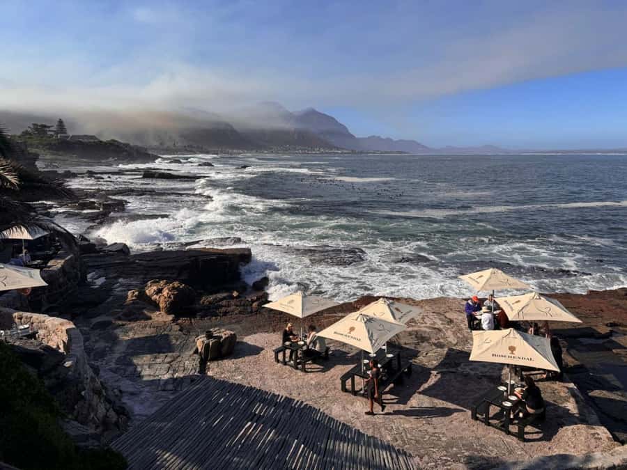 Private Tour: Hermanus- Boat Based Whale Watching Experience - The return via False Bay and Cape Point