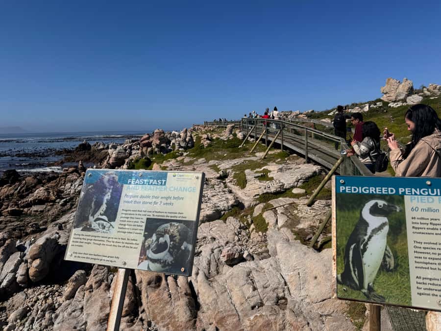 Private Tour: Hermanus- Boat Based Whale Watching Experience - Is $370 a fair price?