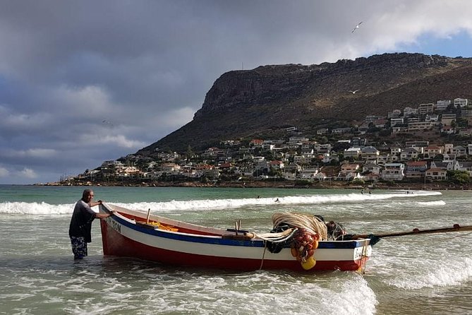 Private Tour Of Penguins, Cape Of Good Hope & Peninsula. - Chapman’s Peak Drive is more than a road between stops