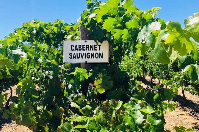 Private Tour of Top 5 Stellenbosch Wineries From Cape Town - Five wine estates, one long day from Cape Town