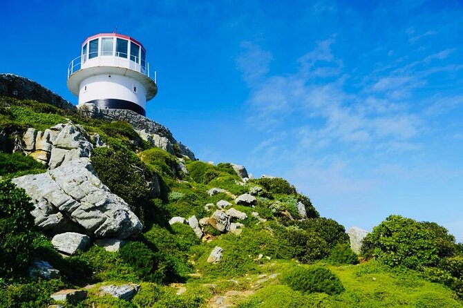 Private Tour: Penguins, Cape Point and Cape of Good Hope - Chapman’s Peak is about the road as much as the viewpoint