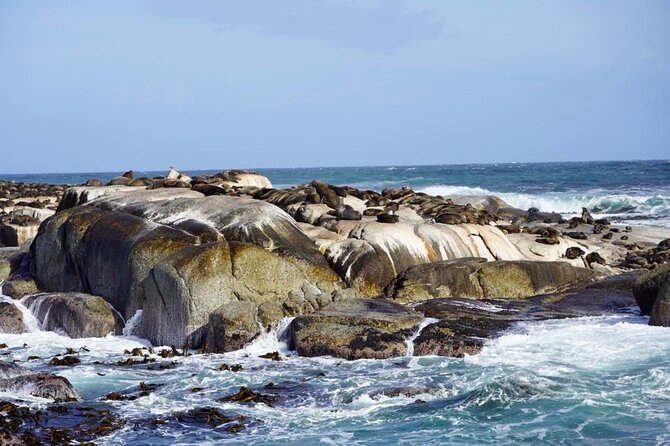 Private Tour: Penguins, Cape Point and Cape of Good Hope - Cape Point offers a choice of walk or funicular