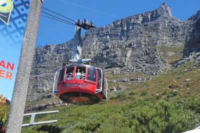 Private Tour: Table Mountain Boulder’s Beach Penguin Cape Point