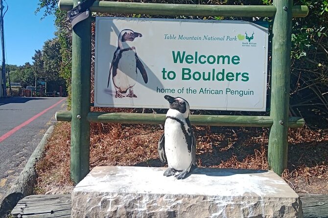 Private Tour: Table Mountain Boulder's Beach Penguin Cape Point - Cape of Good Hope gives the day its famous name