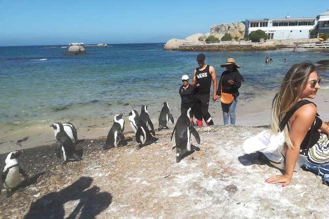 Private Tour:,Table Mountain ,Cape of Good hope & Penguins colony - One full day from city streets to the Cape