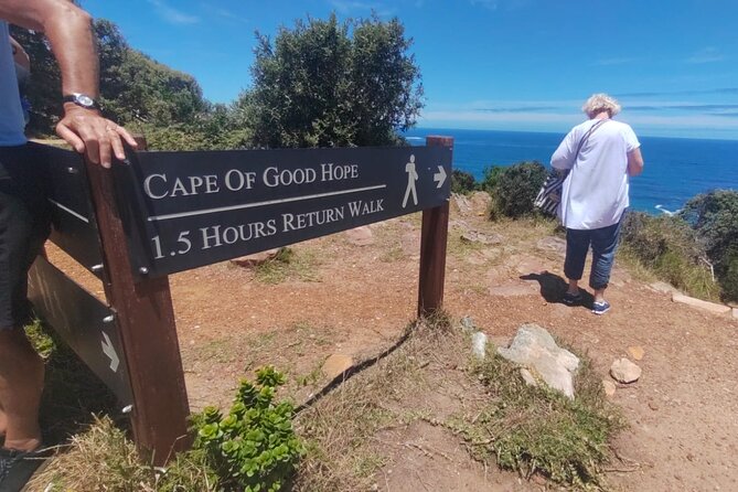 Private Tour:,Table Mountain ,Cape of Good hope & Penguins colony - Hout Bay and the optional seal trip