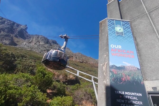Private Tour:,Table Mountain ,Cape of Good hope & Penguins colony - Boulders Beach and the African penguins