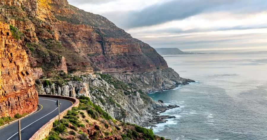 Private Tour: Table Mountain, Penguins Colony & Cape Of Good - Boulders Beach brings you close to African penguins