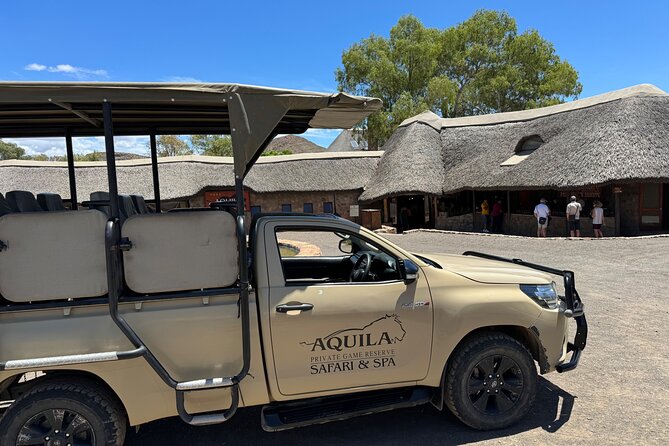 Private Tour to Aquila Game Reserve in Cape Town - see the Big5 - Key points at a glance