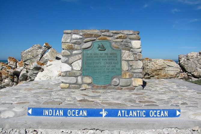 Private Tour to Cape Agulhas Full Day from Cape Town - Stony Point Penguin Colony brings wildlife to the route