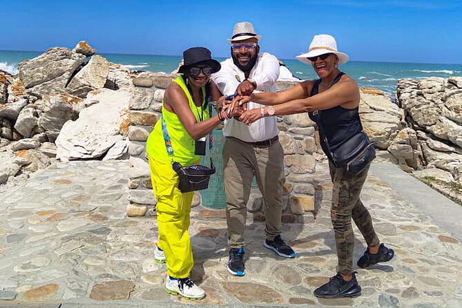 Private Tour to Cape Agulhas Full Day from Cape Town - What the private format changes