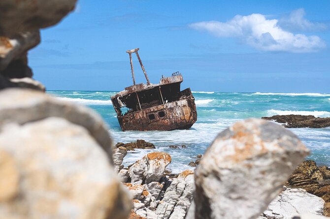 Private Tour to Cape Agulhas Full Day from Cape Town - Is $205.84 per person a fair price?