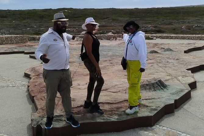 Private Tour to Cape Agulhas Full Day from Cape Town - Who should book this Cape Agulhas day trip?