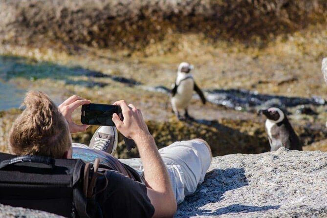 Private Tour to Robben Island and Cape Point in Cape Town - The guide can make or break the long day