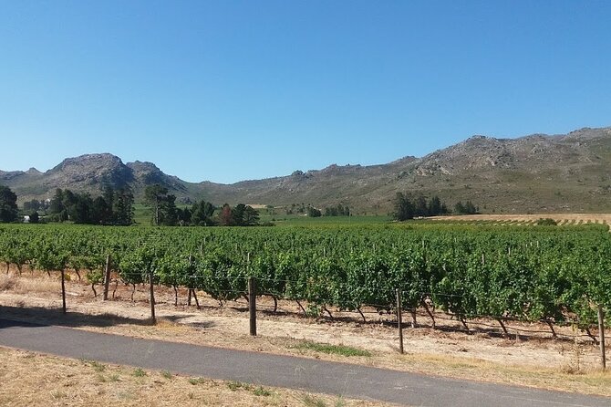 Private Tour To Stellenbosch Franschoek Wineries from Cape Town Price Per Group - Franschhoek: A Small Town with French Roots