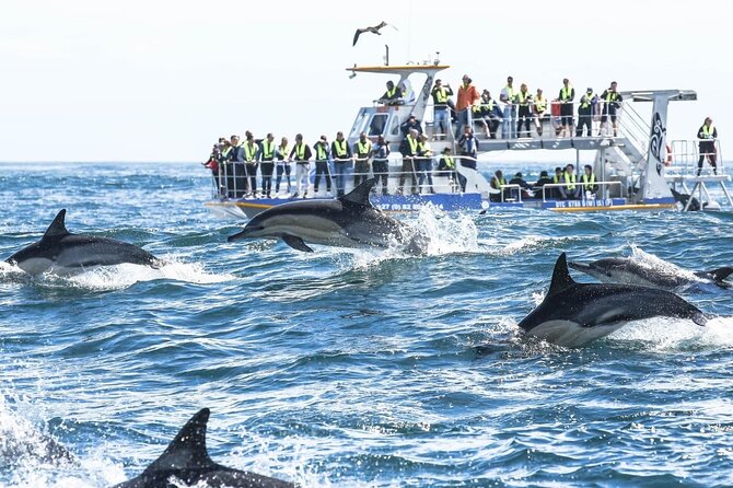 Private Tour: Whale Watching Shared Boat Trip from Cape Town - Creation Wine Estate and the Hemel-en-Aarde Valley