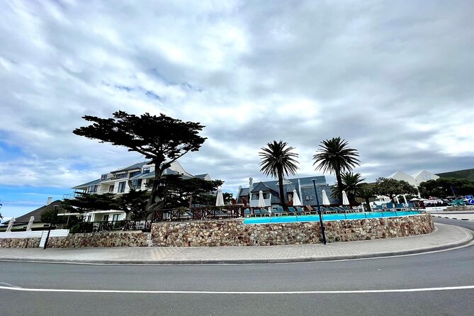 Private Tour: Whale Watching Shared Boat Trip from Cape Town - Timing, Group Size, and What You Pay