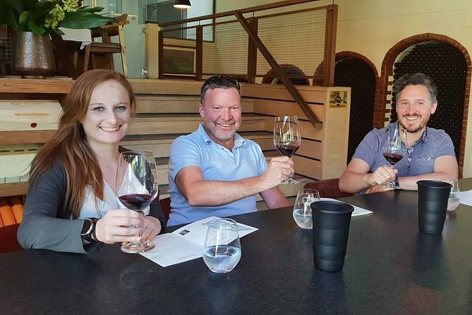 Private Tour with Wine Expert to Cape of Good Hope & Constantia Wine Region - Why this Cape Town day works so well