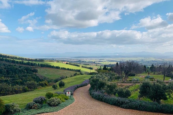 Private Tours in Cape Town - Stellenbosch and the Cape Winelands