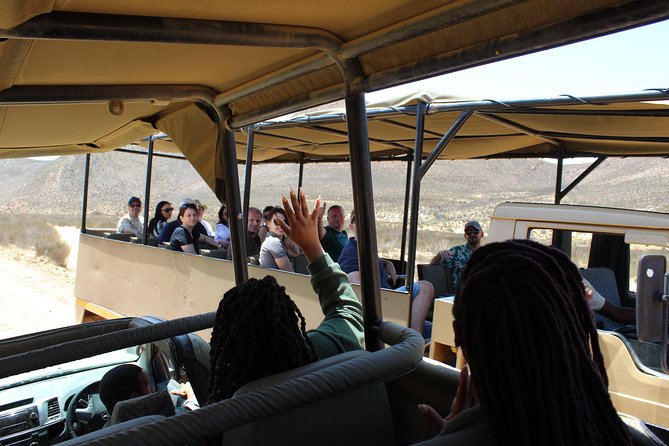 Private Transfer to Safari Big 5 at Aquila from Cape Town Excluding Entry Fees - Buffet lunch and the Olympic-size pool