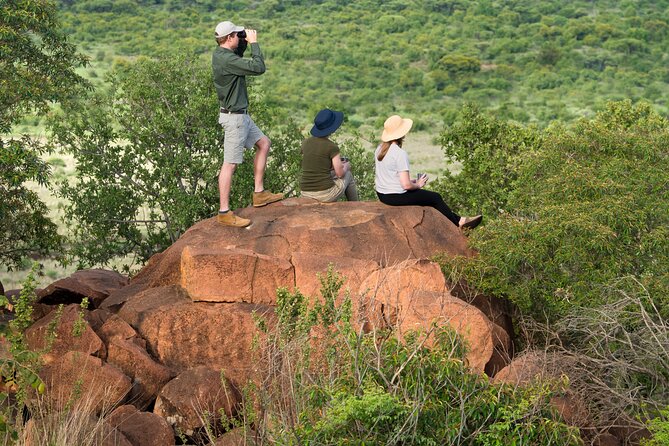 Private Ultimate Pilanesberg Safari from Johannesburg - Key points at a glance