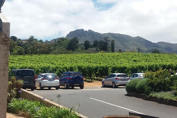 Private Visit to the Wineries Stellenbosch Franschoek from Cape Town Full Day - From Cape Town to the Cape Winelands
