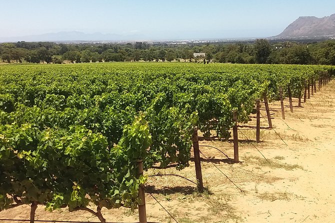 Private Visit to the Wineries Stellenbosch Franschoek from Cape Town Full Day - Paarl, Afrikaans culture and a river shaped by apartheid