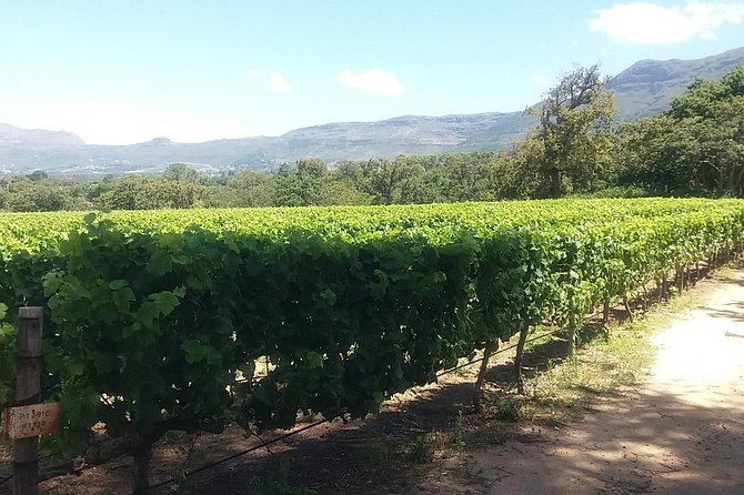 Private Visit to the Wineries Stellenbosch Franschoek from Cape Town Full Day - What the $109.20 price really covers
