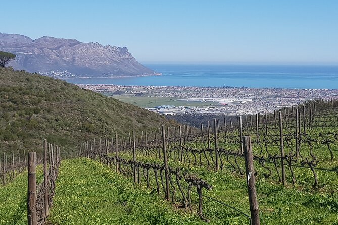 Private Wine Tasting Tour in Constantia, Cape Town - Key points to know before booking