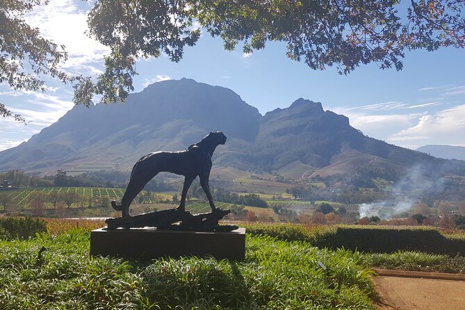 Private Wine Tasting Tour in Constantia, Cape Town - What the wine specialist adds