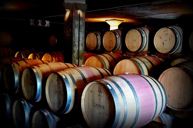 Private Wine Tasting Tour in Constantia, Cape Town - The optional afternoon tasting