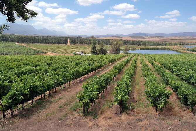 Private Wine Tasting Tour in Constantia, Cape Town - Who will enjoy this private format most