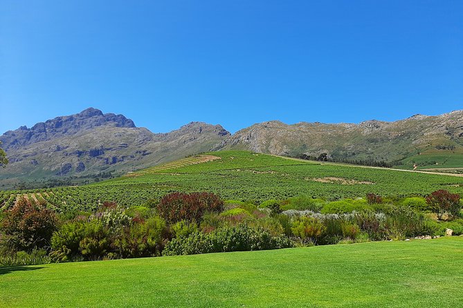 Private Wine Tour of Stellenbosch, Franschhoek and Paarl - How the private guide changes the experience