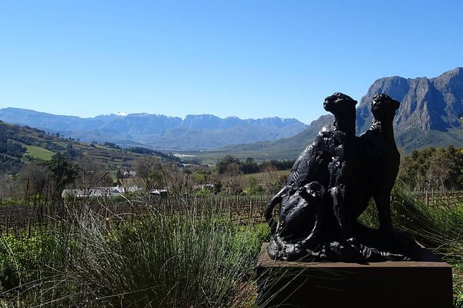Private Wine Tour with Wine Expert to Stellenbosch-Franschhoek Wine Regions - The first tasting: Simonsig and the opening pace