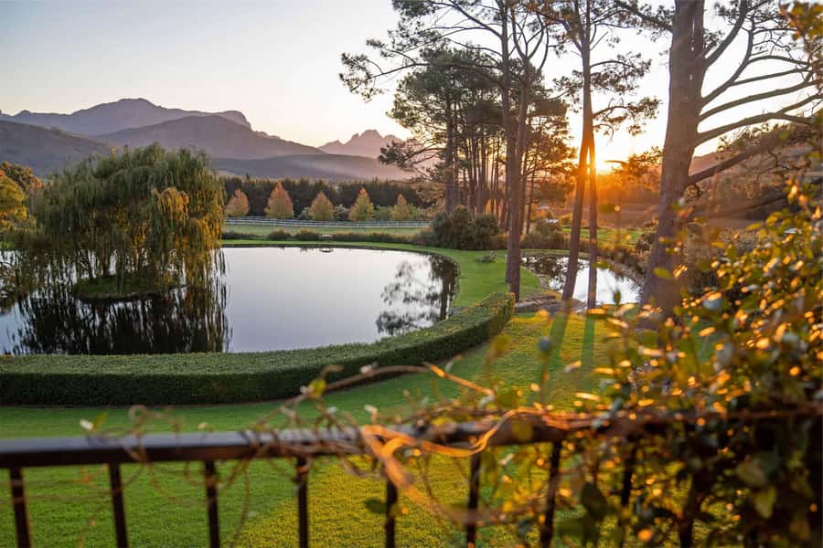 Private Winelands Immersive Experience Full Day - Key points at a glance