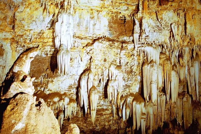 Rhino & Lion Nature Reserve & Wonder Caves - What the guide can add to the animal sightings