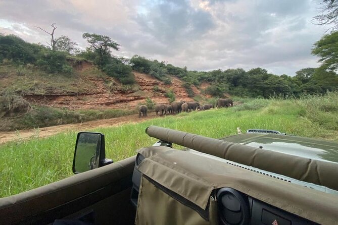 Richards Bay: Big 5 Luxury Safari at Manyoni Private Game Reserve - The 7:00 am pickup and drive from Richards Bay