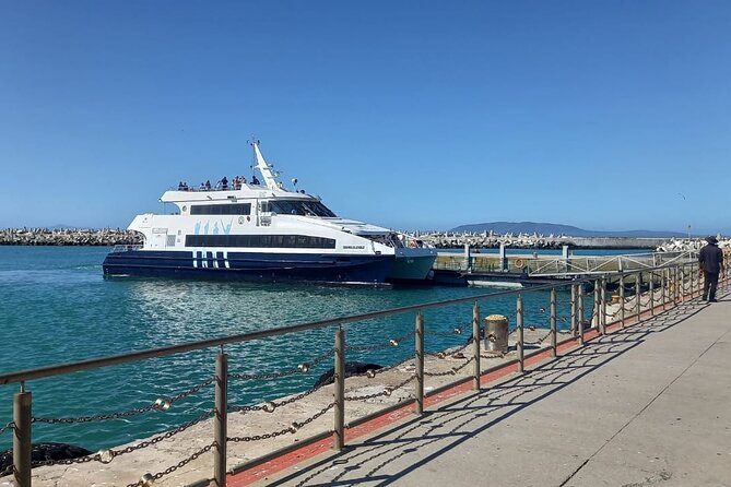 Robben Island and Table Mountain Full Day Private Tour - A short drive through Cape Town’s center