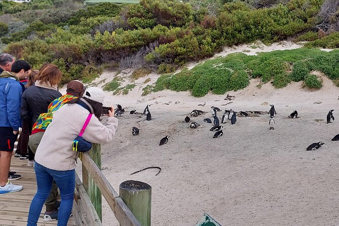 Robben Island and Table Mountain Guided tour - Key points to know before booking