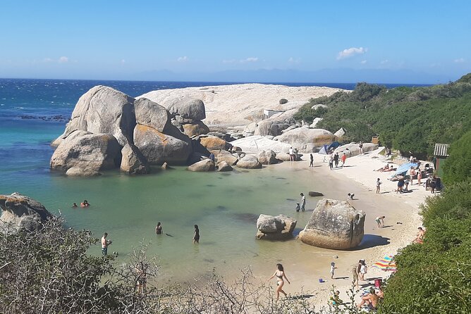 Robben Island and Table Mountain Guided tour - Riding between sights with a local guide