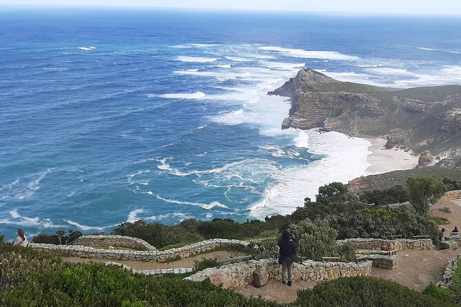 Robben Island and Table Mountain Guided tour - Who will enjoy this day most?