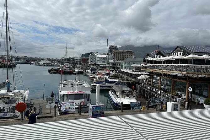 Robben Island and Table Mountain Pre Booked Tickets - The schedule is efficient, but not loose
